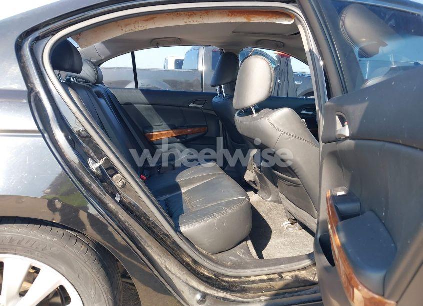 Photo 8 of 2011 Honda Accord 3.5 EX-L (VIN 5KBCP3F84BB003576)