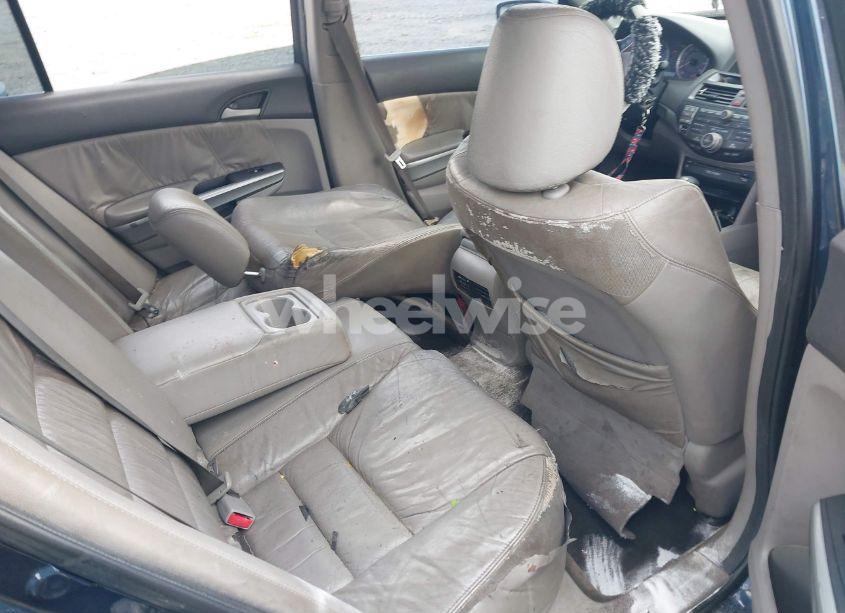 Photo 8 of 2010 Honda Accord 3.5 EX-L (VIN 5KBCP3F85AB008459)