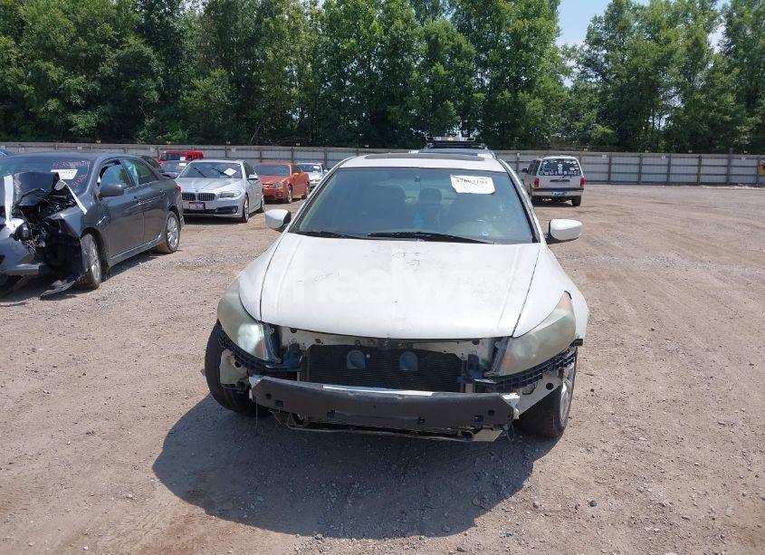 Photo 6 of 2010 Honda Accord 3.5 EX-L (VIN 5KBCP3F85AB013189)