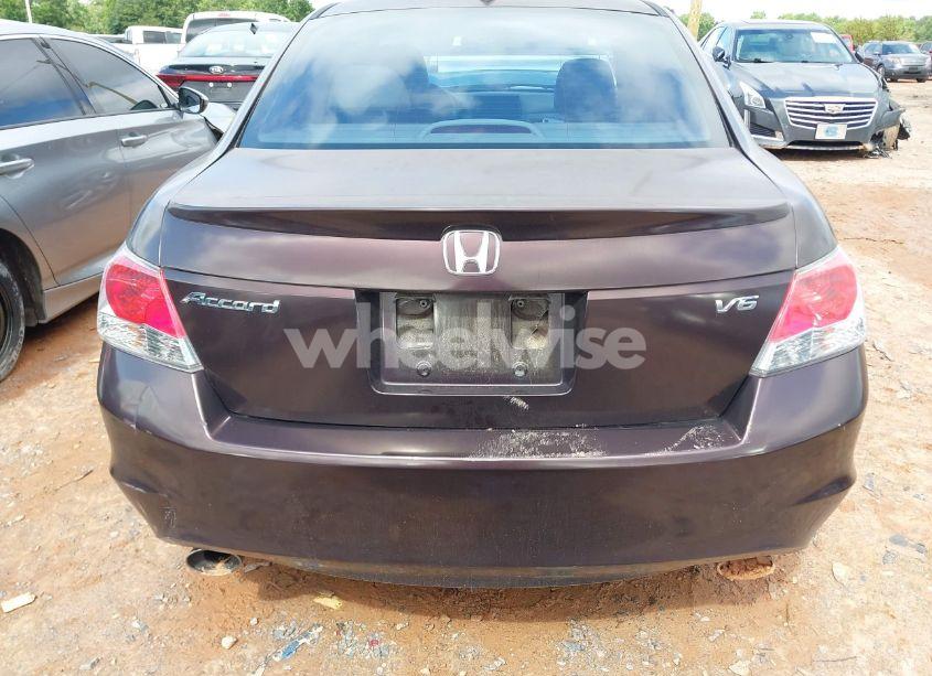 Photo 16 of 2010 Honda Accord 3.5 EX-L (VIN 5KBCP3F85AB017324)