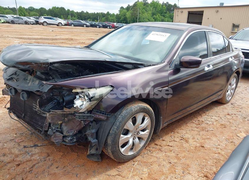 Photo 2 of 2010 Honda Accord 3.5 EX-L (VIN 5KBCP3F85AB017324)