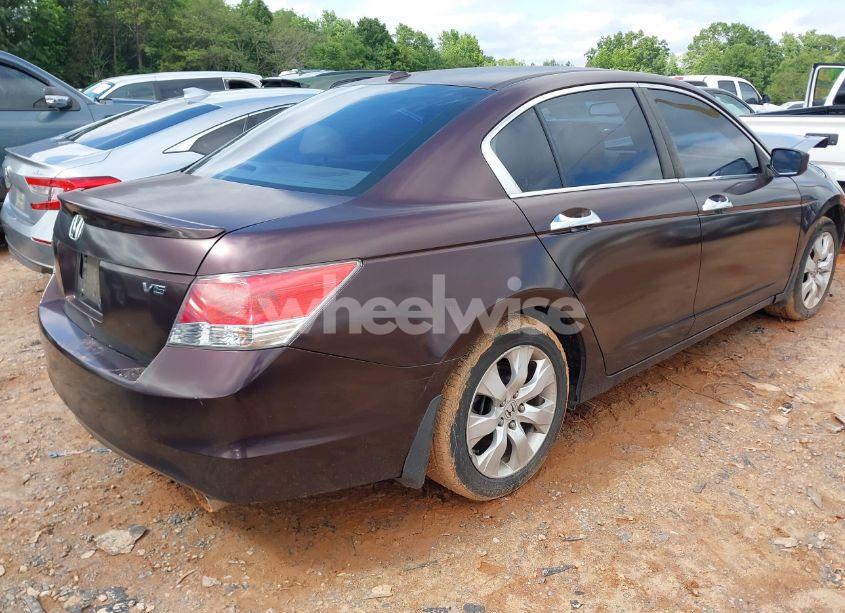 Photo 4 of 2010 Honda Accord 3.5 EX-L (VIN 5KBCP3F85AB017324)