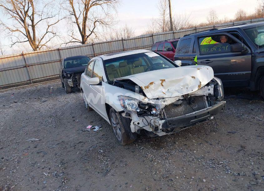 2011 Honda Accord 3.5 EX-L (VIN 5KBCP3F86BB003756) main photo