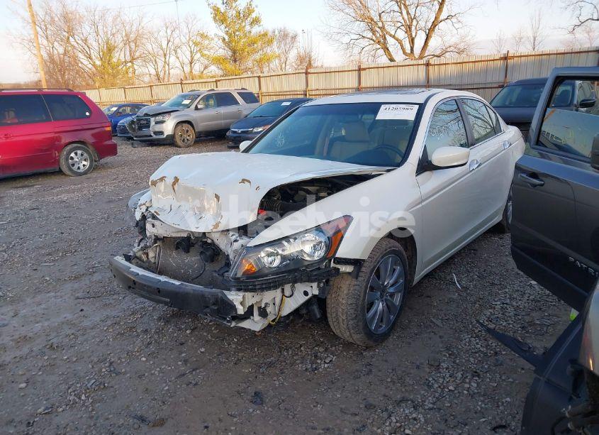 Photo 2 of 2011 Honda Accord 3.5 EX-L (VIN 5KBCP3F86BB003756)