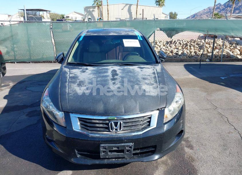 Photo 11 of 2010 Honda Accord 3.5 EX-L (VIN 5KBCP3F87AB004509)