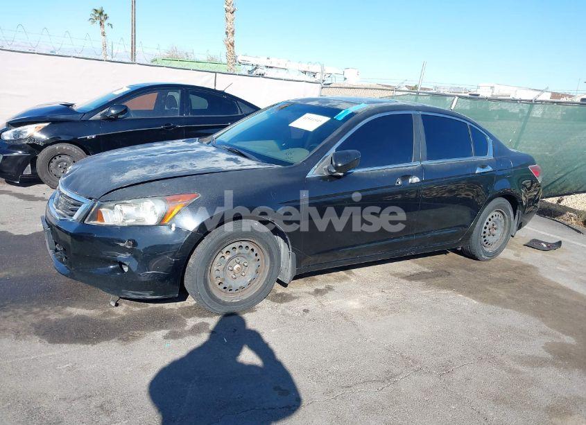 Photo 13 of 2010 Honda Accord 3.5 EX-L (VIN 5KBCP3F87AB004509)