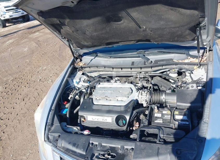 Photo 10 of 2010 Honda Accord 3.5 EX-L (VIN 5KBCP3F87AB004820)