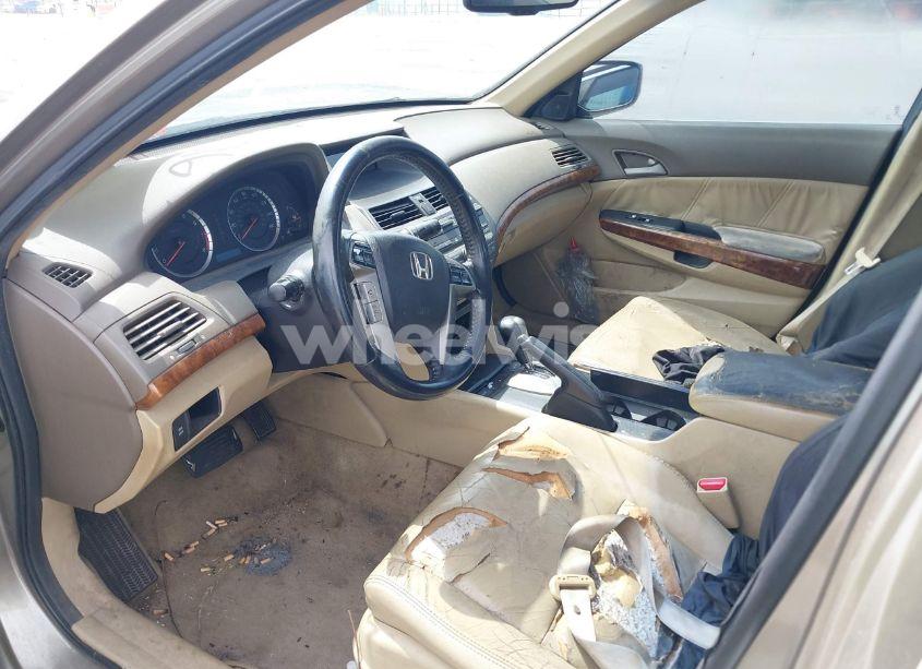 Photo 5 of 2010 Honda Accord 3.5 EX-L (VIN 5KBCP3F88AB001215)