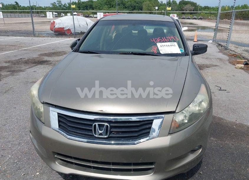 Photo 6 of 2010 Honda Accord 3.5 EX-L (VIN 5KBCP3F88AB001215)