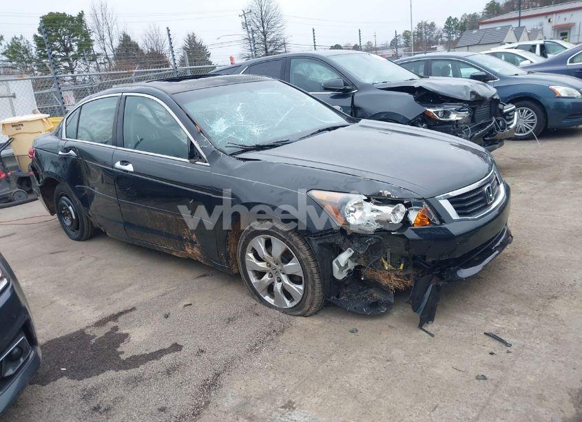 2010 Honda Accord 3.5 EX-L (VIN 5KBCP3F88AB002428) main photo