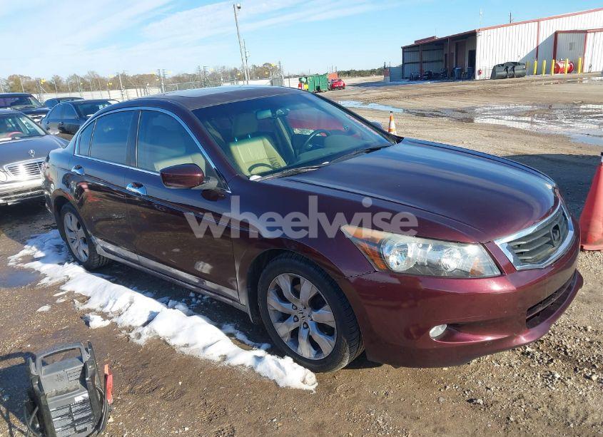 2010 Honda Accord 3.5 EX-L (VIN 5KBCP3F88AB013090) main photo