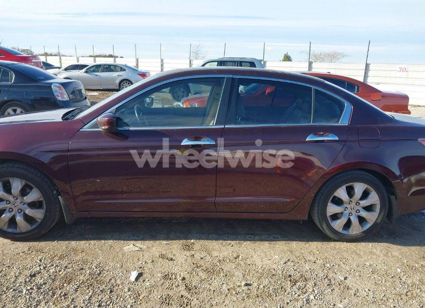 Photo 14 of 2010 Honda Accord 3.5 EX-L (VIN 5KBCP3F88AB013090)