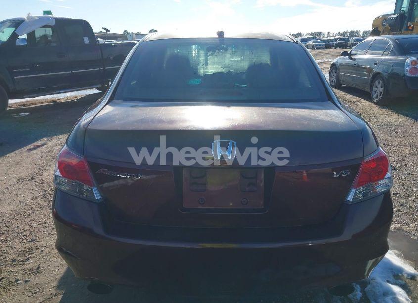 Photo 16 of 2010 Honda Accord 3.5 EX-L (VIN 5KBCP3F88AB013090)