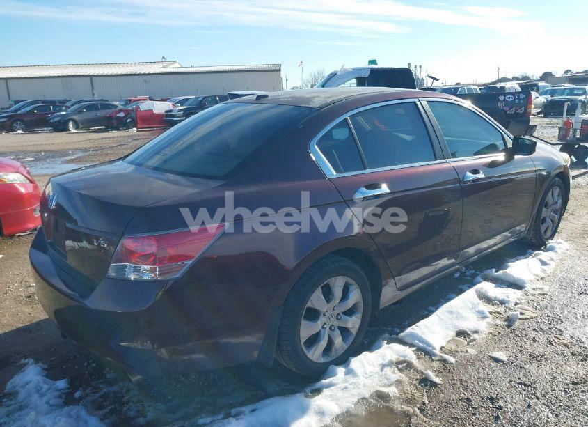 Photo 4 of 2010 Honda Accord 3.5 EX-L (VIN 5KBCP3F88AB013090)