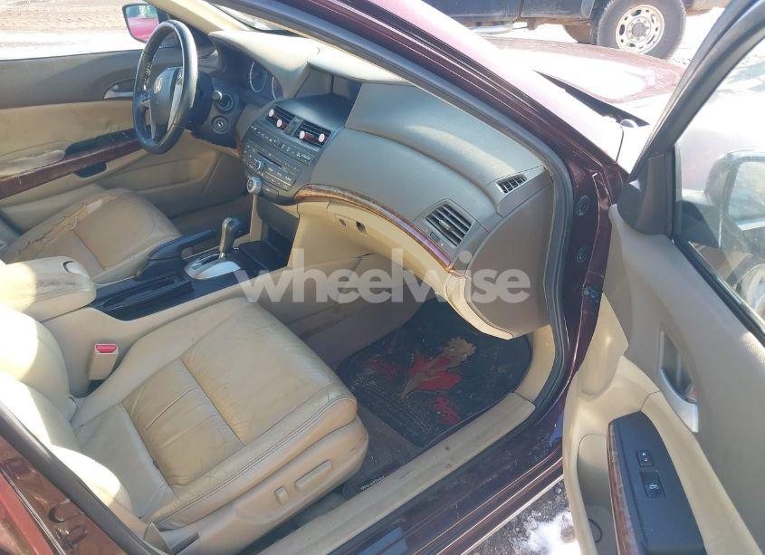 Photo 5 of 2010 Honda Accord 3.5 EX-L (VIN 5KBCP3F88AB013090)