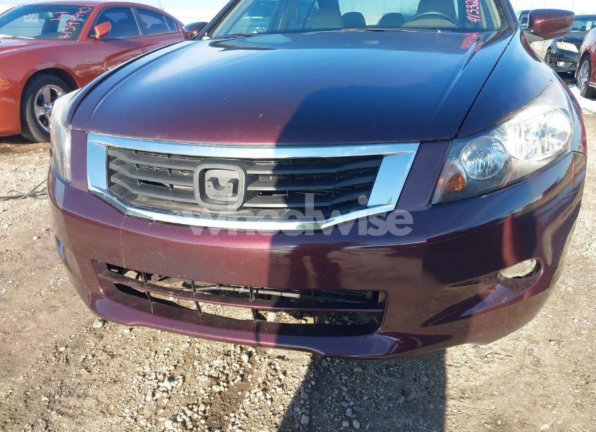 Photo 6 of 2010 Honda Accord 3.5 EX-L (VIN 5KBCP3F88AB013090)