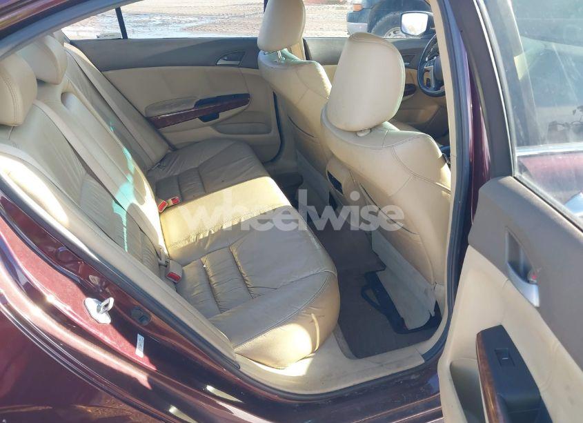 Photo 8 of 2010 Honda Accord 3.5 EX-L (VIN 5KBCP3F88AB013090)