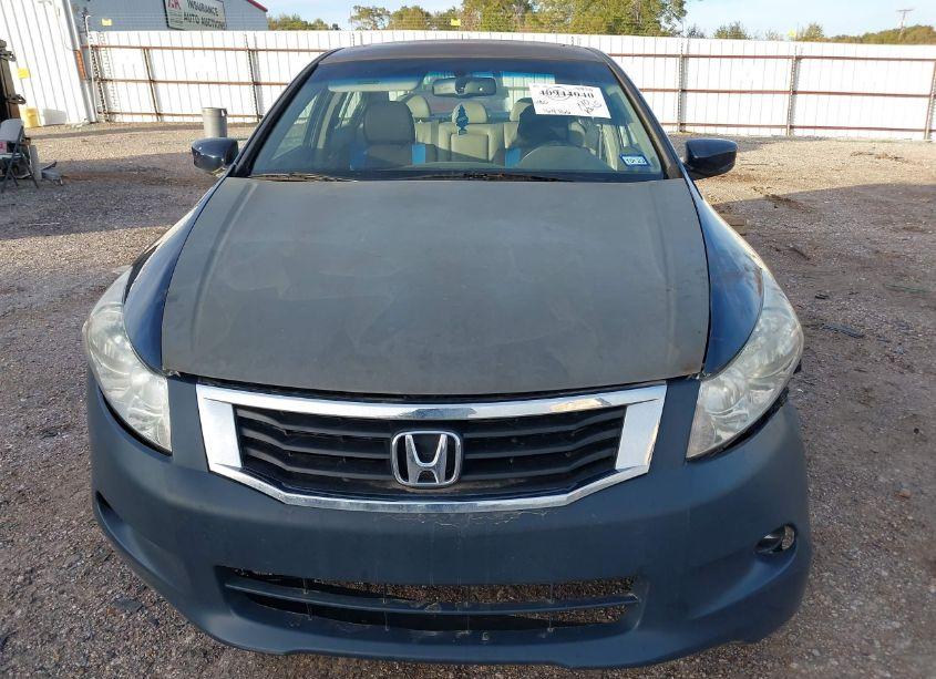 Photo 13 of 2010 Honda Accord 3.5 EX-L (VIN 5KBCP3F89AB008304)