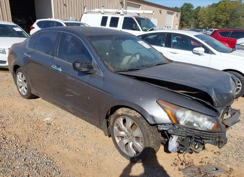 2010 Honda Accord 3.5 EX-L (VIN 5KBCP3F89AB008884) main photo