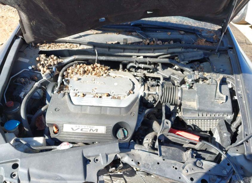 Photo 10 of 2010 Honda Accord 3.5 EX-L (VIN 5KBCP3F89AB008884)