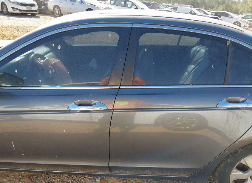 Photo 15 of 2010 Honda Accord 3.5 EX-L (VIN 5KBCP3F89AB008884)