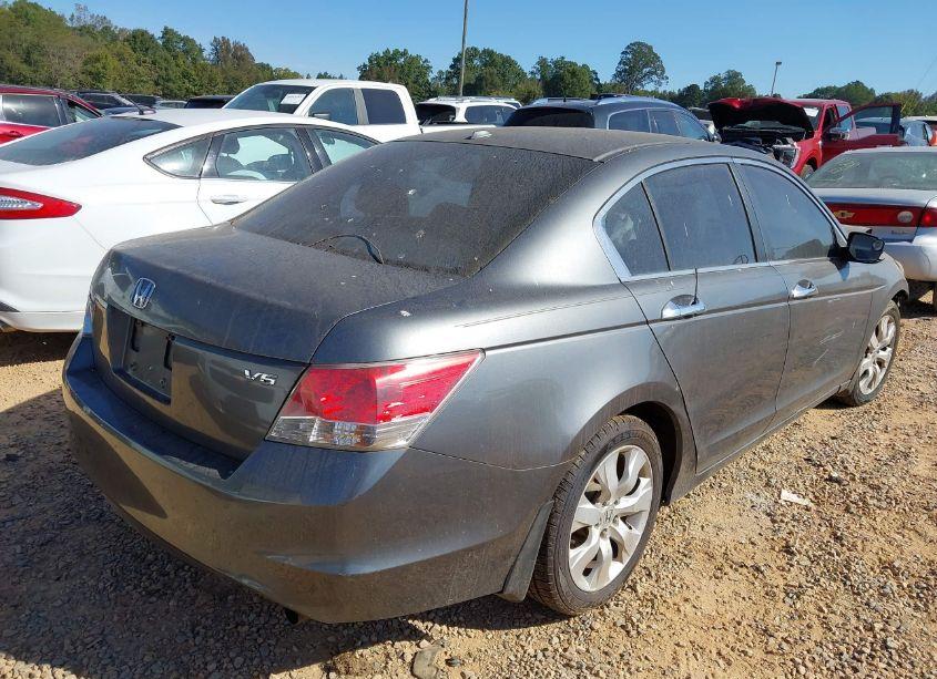 Photo 4 of 2010 Honda Accord 3.5 EX-L (VIN 5KBCP3F89AB008884)