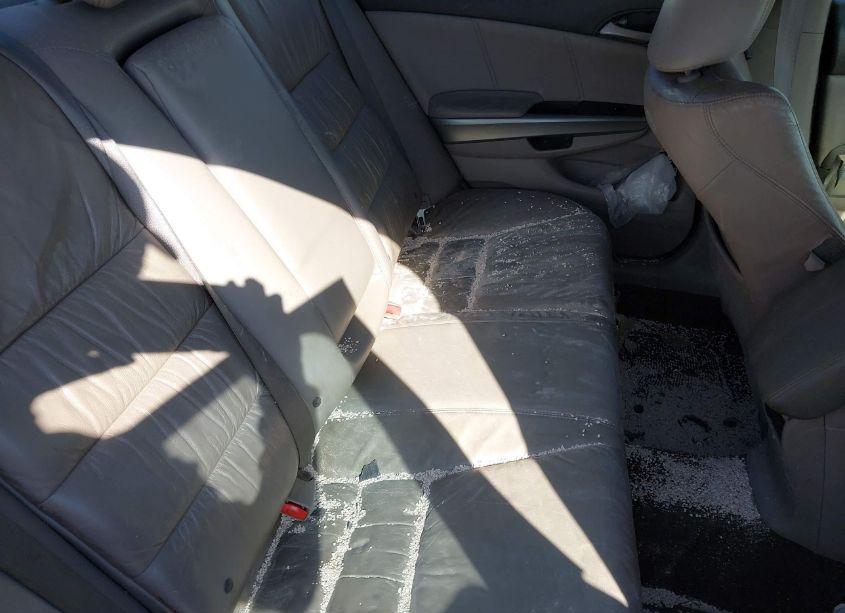 Photo 8 of 2010 Honda Accord 3.5 EX-L (VIN 5KBCP3F89AB008884)