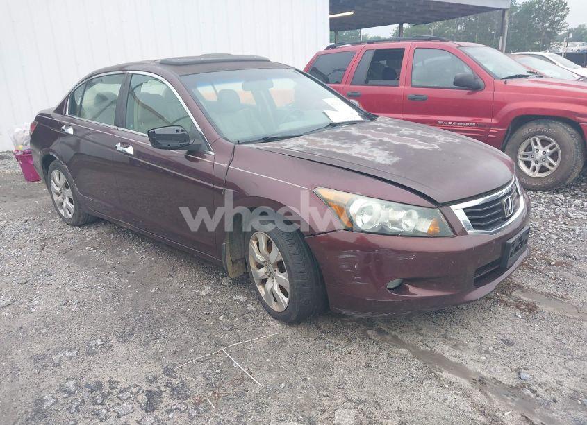 2010 Honda Accord 3.5 EX-L (VIN 5KBCP3F89AB013213) main photo