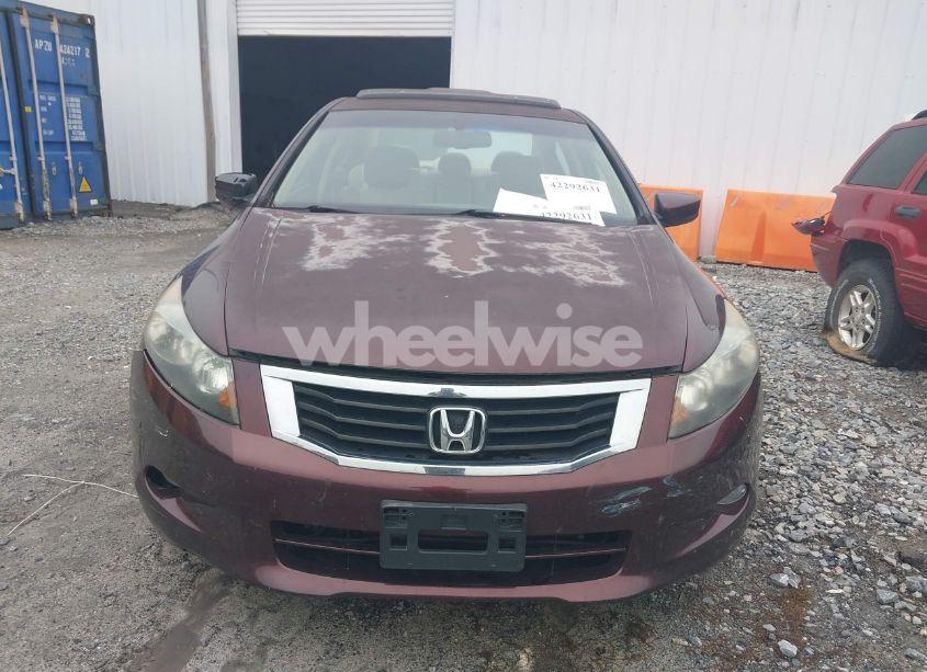 Photo 12 of 2010 Honda Accord 3.5 EX-L (VIN 5KBCP3F89AB013213)
