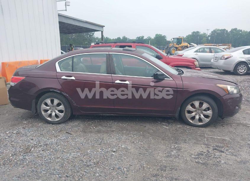 Photo 13 of 2010 Honda Accord 3.5 EX-L (VIN 5KBCP3F89AB013213)