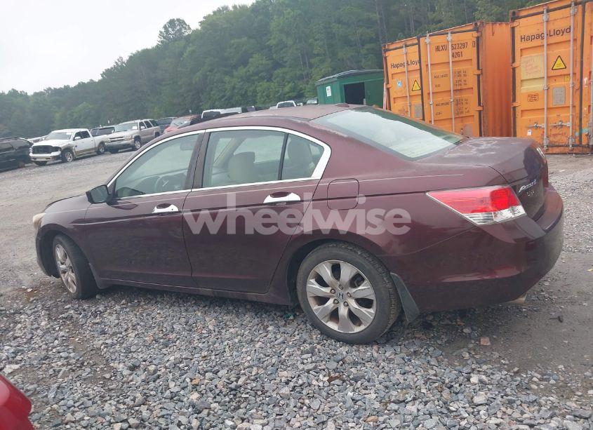 Photo 14 of 2010 Honda Accord 3.5 EX-L (VIN 5KBCP3F89AB013213)