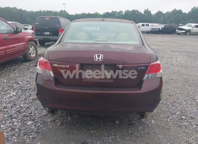 Photo 16 of 2010 Honda Accord 3.5 EX-L (VIN 5KBCP3F89AB013213)