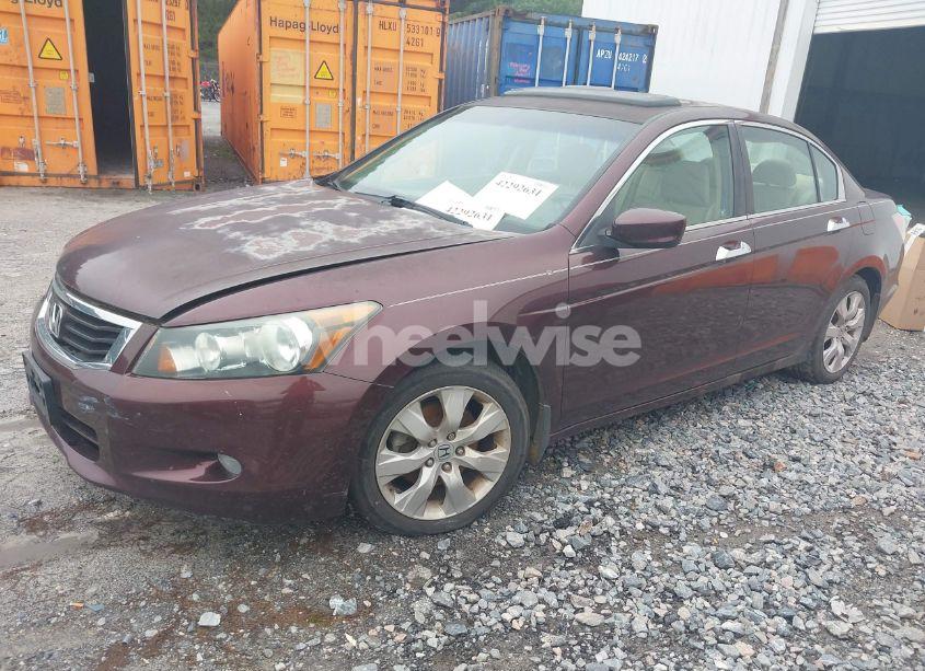 Photo 2 of 2010 Honda Accord 3.5 EX-L (VIN 5KBCP3F89AB013213)