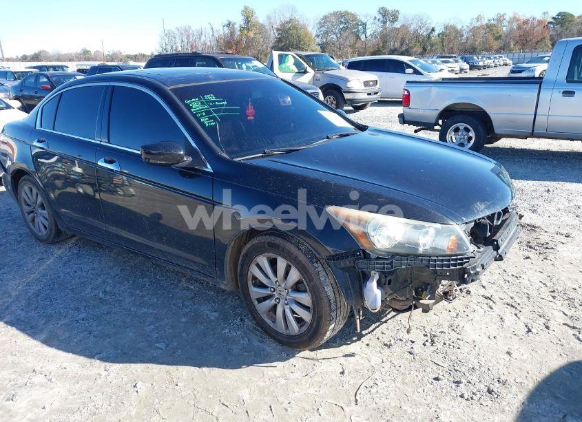 2011 Honda Accord 3.5 EX-L (VIN 5KBCP3F89BB002052) main photo
