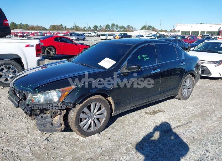 Photo 2 of 2011 Honda Accord 3.5 EX-L (VIN 5KBCP3F89BB002052)