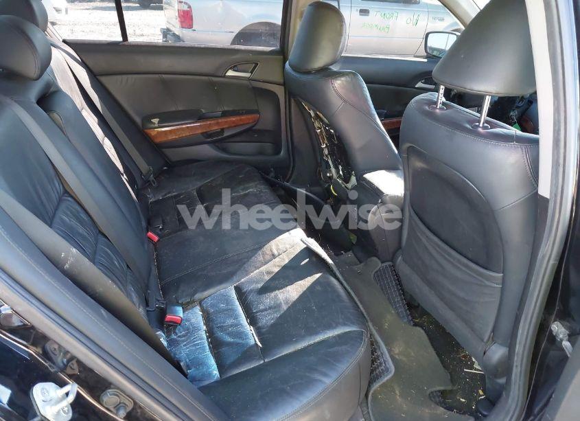 Photo 8 of 2011 Honda Accord 3.5 EX-L (VIN 5KBCP3F89BB002052)