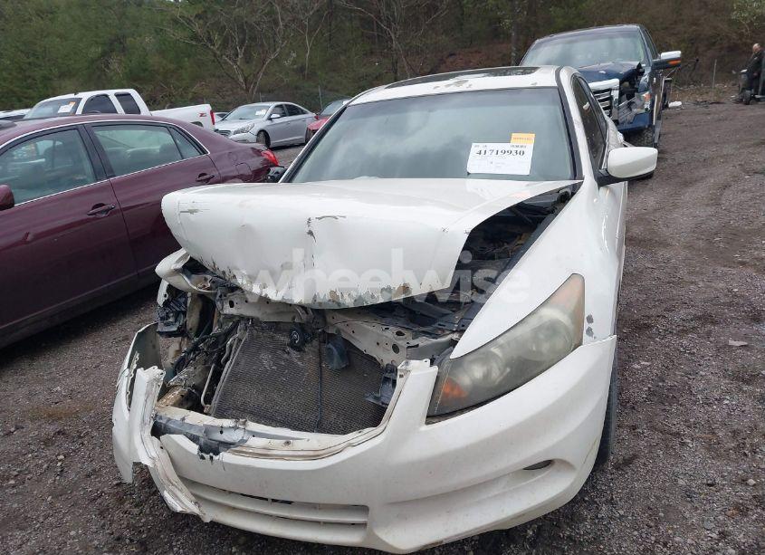 Photo 12 of 2011 Honda Accord 3.5 EX-L (VIN 5KBCP3F89BB002598)