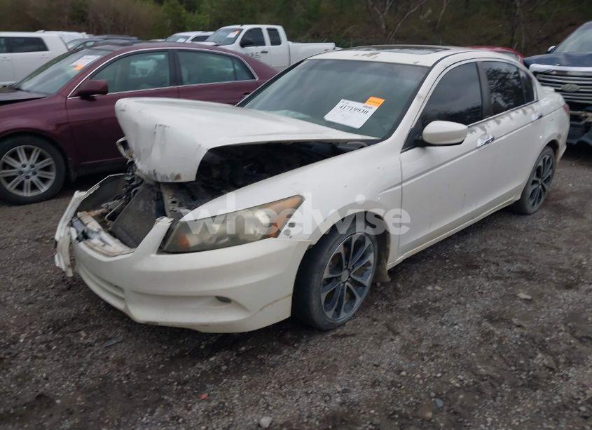 Photo 2 of 2011 Honda Accord 3.5 EX-L (VIN 5KBCP3F89BB002598)