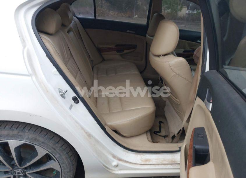 Photo 8 of 2011 Honda Accord 3.5 EX-L (VIN 5KBCP3F89BB002598)