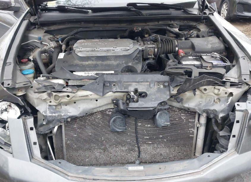 Photo 10 of 2010 Honda Accord 3.5 EX-L (VIN 5KBCP3F8XAB001328)