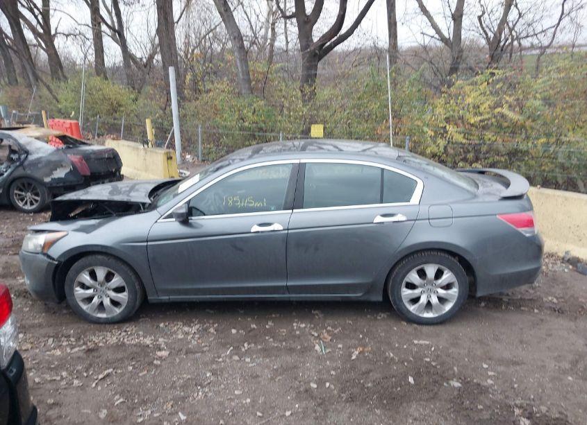 Photo 14 of 2010 Honda Accord 3.5 EX-L (VIN 5KBCP3F8XAB001328)