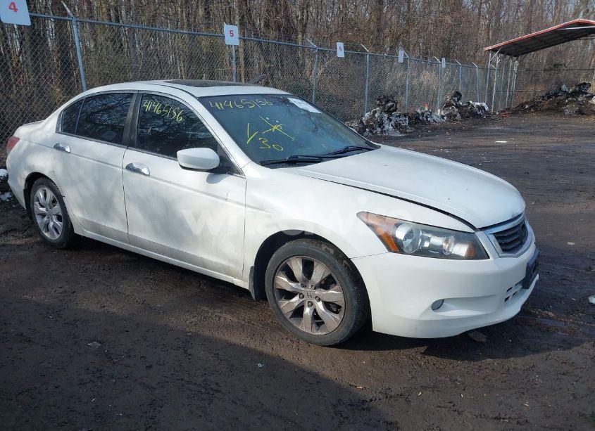 2010 Honda Accord 3.5 EX-L (VIN 5KBCP3F8XAB002981) main photo