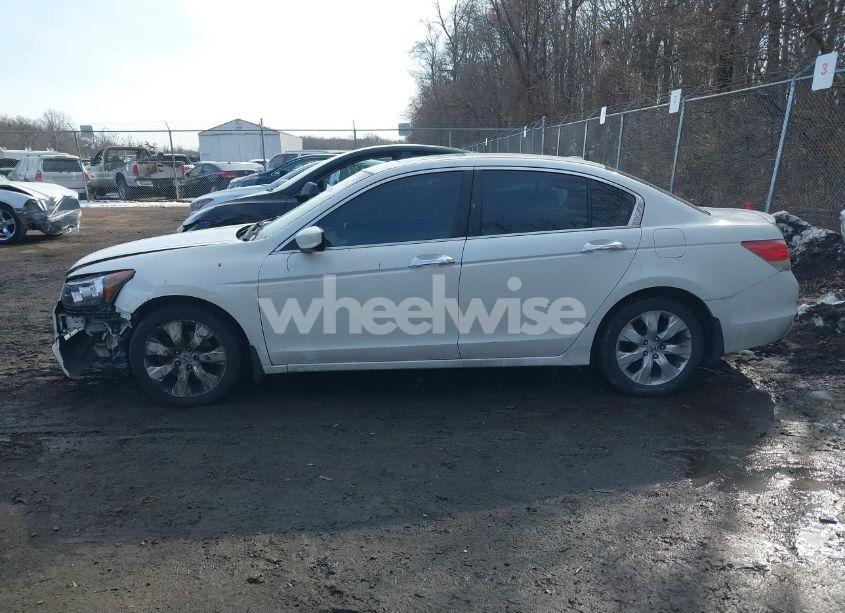 Photo 14 of 2010 Honda Accord 3.5 EX-L (VIN 5KBCP3F8XAB002981)