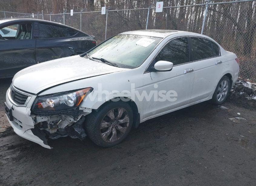 Photo 2 of 2010 Honda Accord 3.5 EX-L (VIN 5KBCP3F8XAB002981)