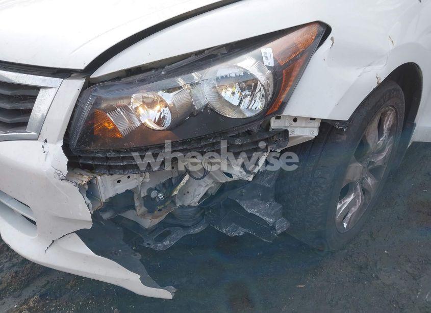 Photo 6 of 2010 Honda Accord 3.5 EX-L (VIN 5KBCP3F8XAB002981)
