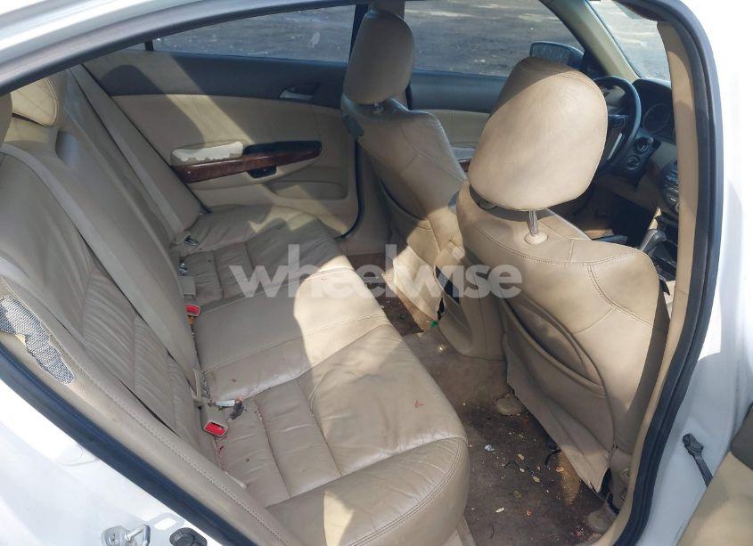 Photo 8 of 2010 Honda Accord 3.5 EX-L (VIN 5KBCP3F8XAB002981)