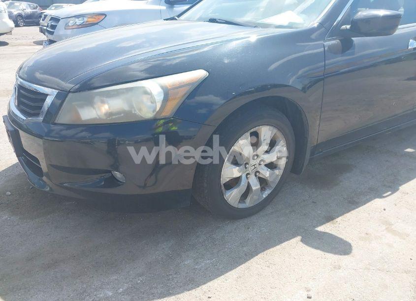 Photo 16 of 2010 Honda Accord 3.5 EX-L (VIN 5KBCP3F8XAB006593)