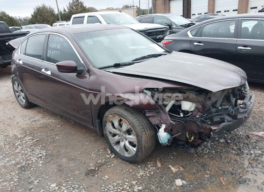 2010 Honda Accord 3.5 EX-L (VIN 5KBCP3F8XAB013334) main photo