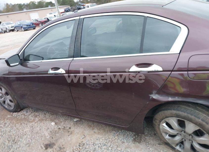 Photo 14 of 2010 Honda Accord 3.5 EX-L (VIN 5KBCP3F8XAB013334)