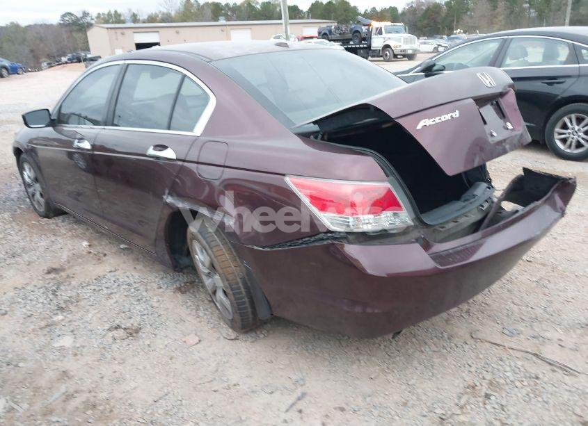 Photo 3 of 2010 Honda Accord 3.5 EX-L (VIN 5KBCP3F8XAB013334)